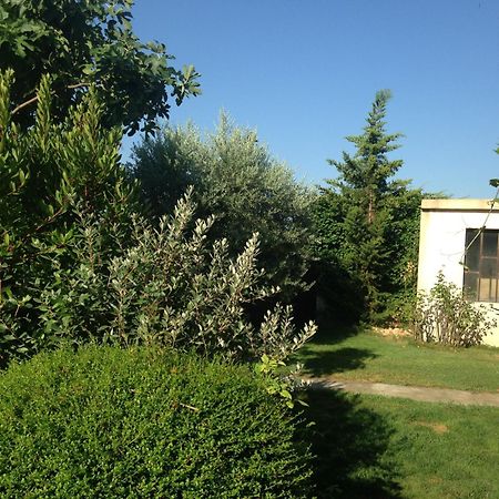 B&B - Le Vieux Figuier Vacqueyras Eksteriør bilde